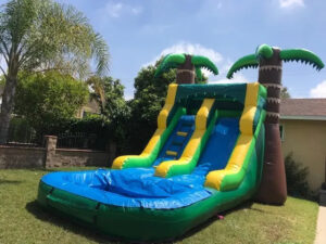 palm tree water slide